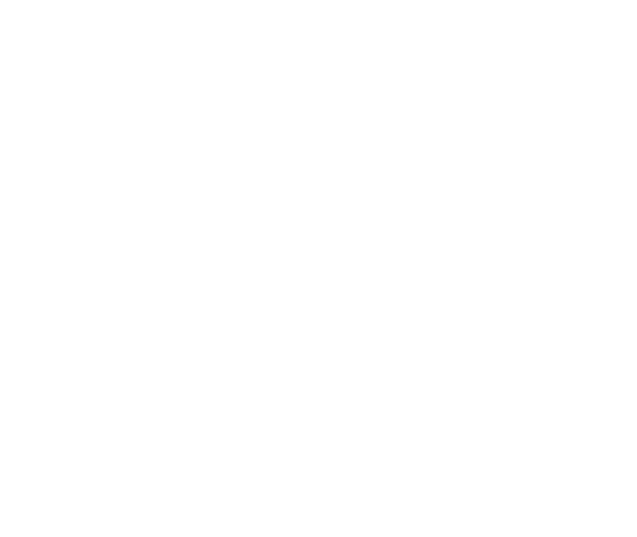 The Law Offices of Cahalane and Stefani, P.C.